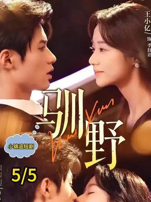 第七重证词律政悬疑热播电视剧全集在线观看